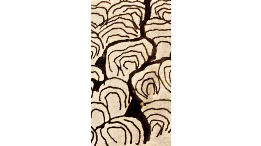 ABSTRACT: What Passes And What Does Not