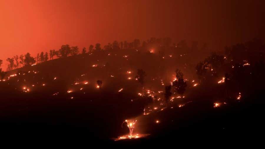 The deaths of Josiah and Wyatt, two athletic teenagers, speak to the speed and the ferocity of the fires that this year have burned a record number of acres, four million in California and Oregon combined.