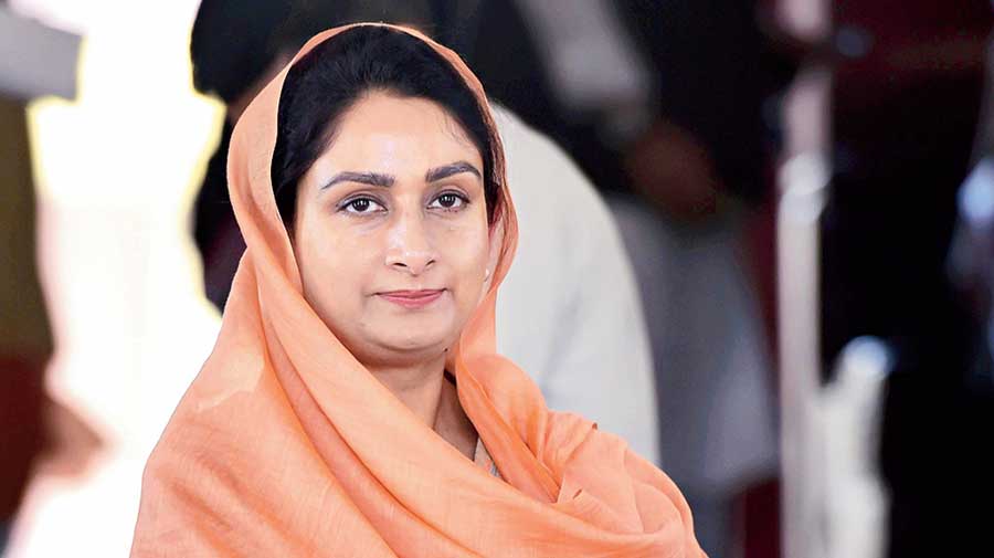 Coronavirus Situation in Punjab: Harsimrat Kaur Badal held Captain Amarinder Singh responsible for mis-management of Covid-19 in Punjab.