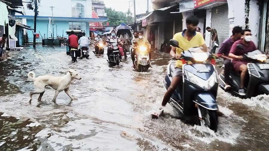 Rain triggers waterlogging in sub-Himalayan region of Bengal