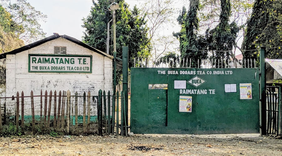 The Raimatang tea estates in Alipurduar.