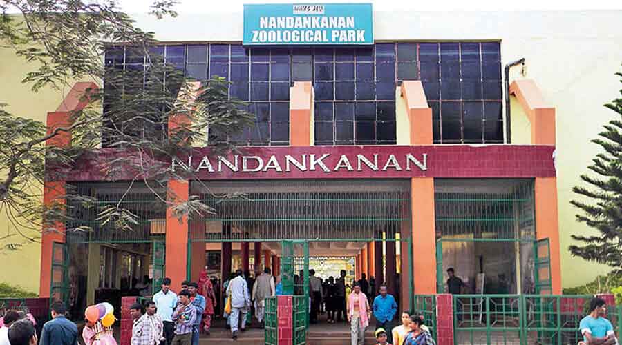 The Nandankanan