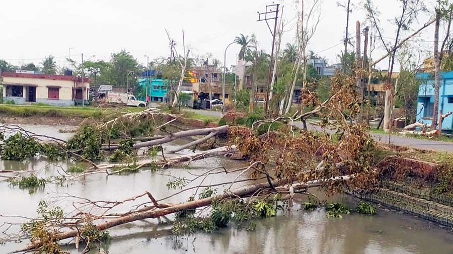 Fallen trees in Haldia bear testimony to the ferocity of Cyclone Amphan in May last year. There is widespread resentment among the electorate over corruption in distribution of Amphan relief. Opposition parties have identified this as a key poll plank to corner Trinamul