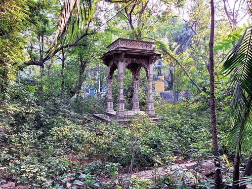 Using Samsung Galaxy S20 FE 5G, the different shades of green enveloping the neglected Panioty Fountain are captured easily (top) and so is the beauty of Rabindra Sarobar early morning