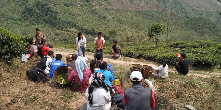 Laali Guras (Red Rhododendrons) campaigning at Margaret Hope Tea Garden, near Sonada, Kurseong.