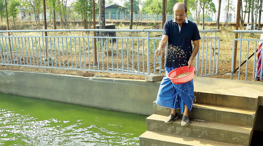 PK Kunhalikutty feeds fish at  his pond in Malappuram.