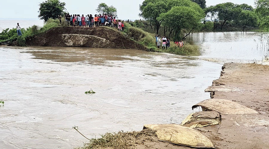 Water gushes into Bhutni island after the embankment collapse on Friday.