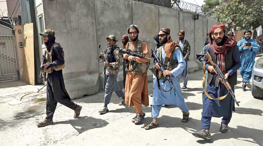 taliban insurgency