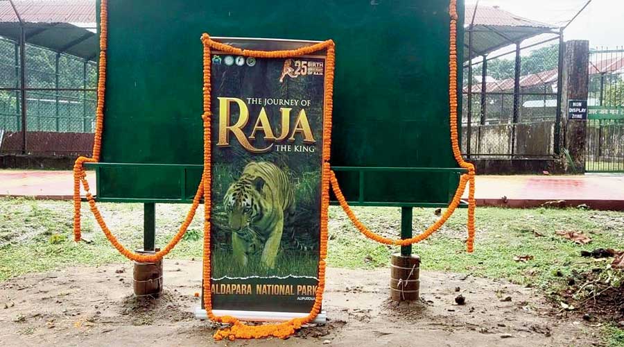 On Monday, a picture of Raja was put at the entrance of the rescue centre with details about his life. 
