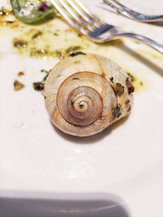  SLOW AND STEADY: Buttery snails at LPM