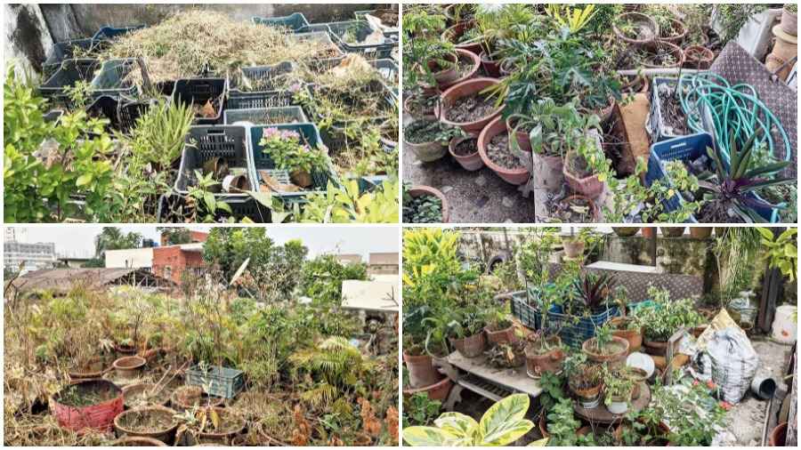 Tyres, empty crates and unused pots clog every inch of the roof of CJ 288 where  a boy is down with dengue. It was finally cleared on Saturday after an ultimatum from a team from Bidhannagar Municipal Corporation which had raided the rooftop and found mosquito larvae breeding there