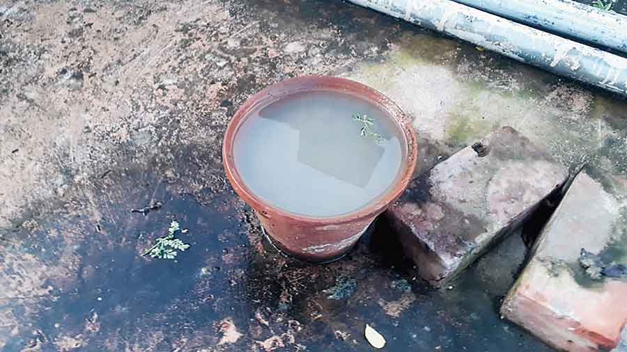 Vector alert: Water in an empty pot in another house. 