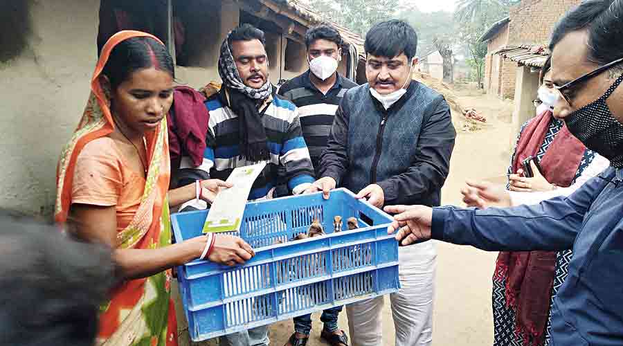 Purulia DM Rahul Majumdar hands over a duckling to the mother of a malnourished child in Bhalkuri on Saturday.