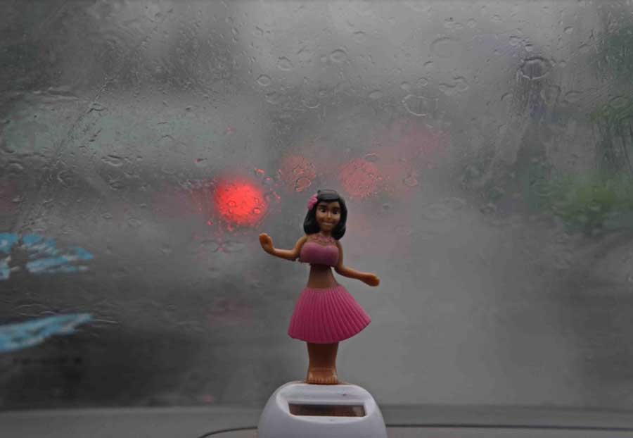The figurine of a dancing girl on the dashboard of a car seems to be swaying to the pitter-patter of the rain. On Sunday, the Met office recorded around 30mm of rain in Alipore over 24 hours till 8.30pm
