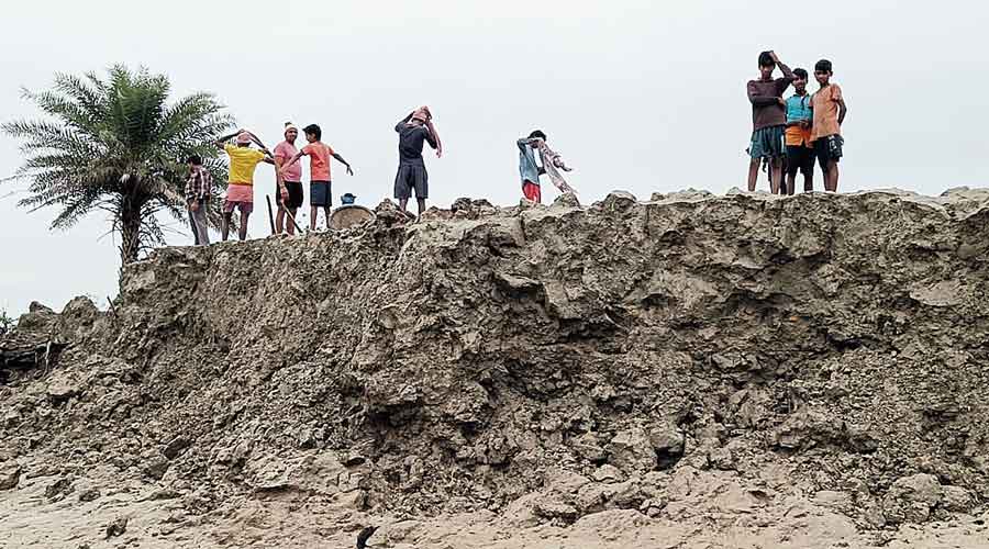 Villagers repair an earthen dam  damaged amid heavy rain in Sagar,  South 24-Parganas.
