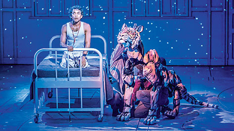 A scene from the stage adaption of Life of Pi.
