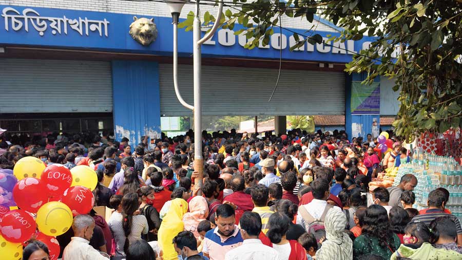 Visitors wait to enter Alipore zoo on Sunday.