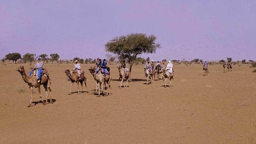 A camel safari on the Thar