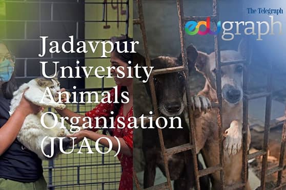 Jadavpur University Animals Organisation takes care of dogs and cats on and  around campus - Telegraph India