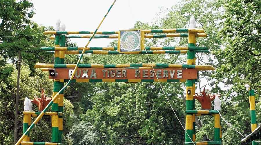 The entrance to the Buxa Tiger Reserve.