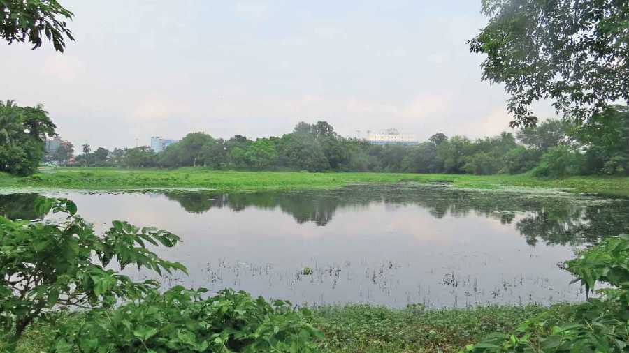 A section of the waterbody in Banabitan