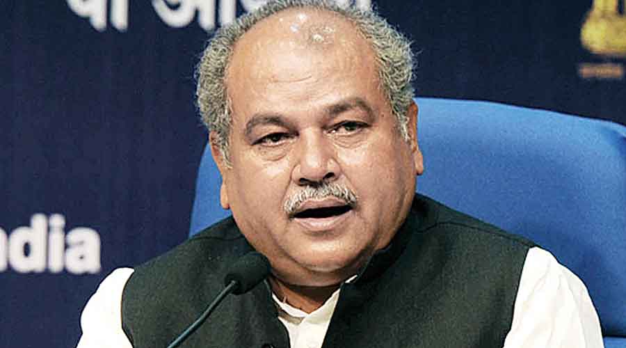 Union Agriculture Minister Narendra Singh Tomar 