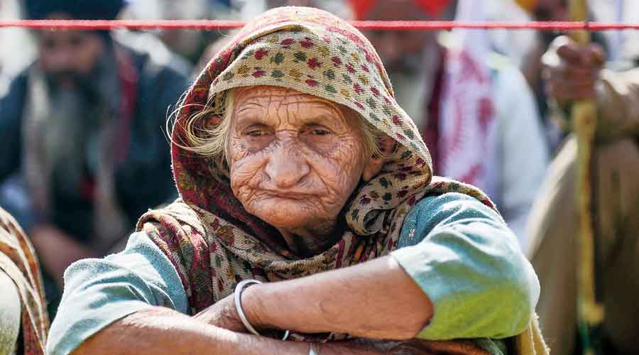 A protester at the Singhu border