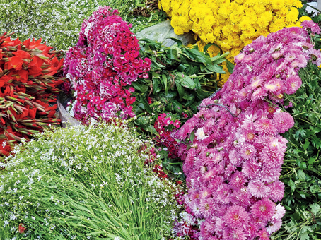 Samsung has finally got the colour profile spot on. Here’s a photo from the flower market in Howrah at 6.15am