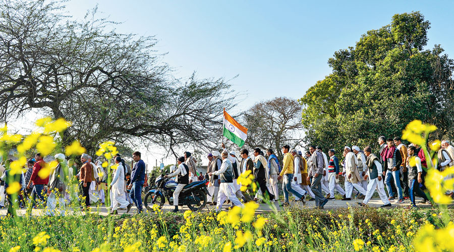    Agriculture minister claims farm law protests confined to one state- He said the agitation should be directed against the state governments instead of the Centre.