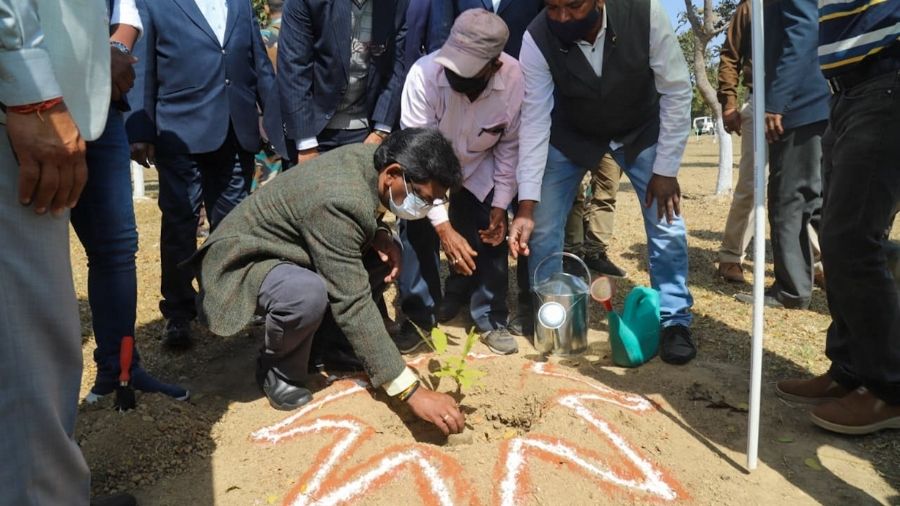 Hemant Soren plants sapling in the premises of Indian Institute of Natural Resin and Gum, at Namkum on Thursday.