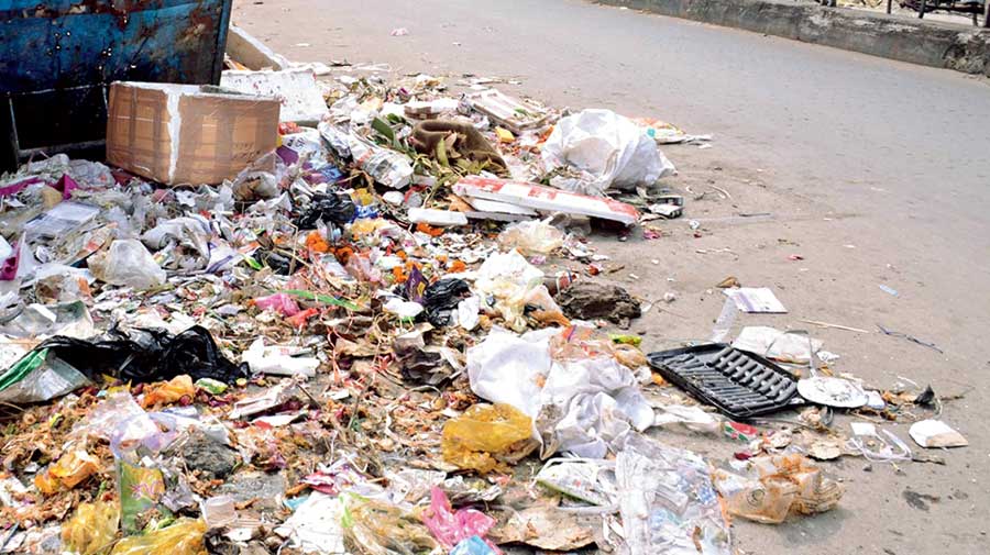 Heaps of garbage on Station Feeder Road in Siliguri  on Friday. 