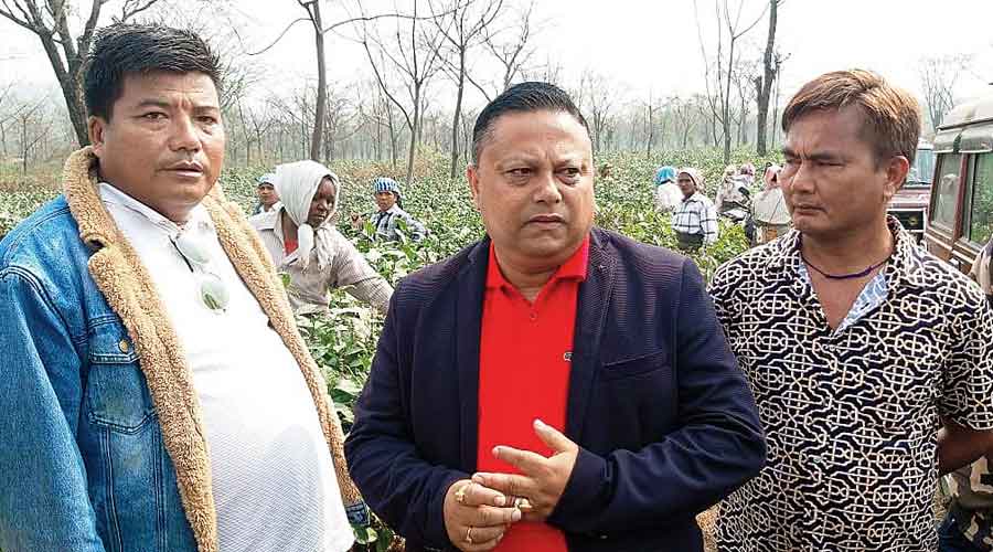 Anit Thapa (centre) in the Longview tea garden on Wednesday