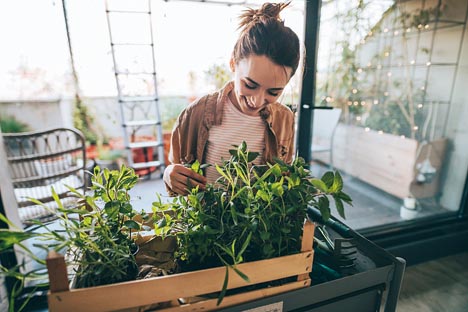 Growing Your Own Food