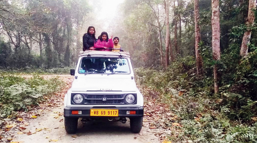 Deadlock ends, jeep safari starts after a gap of seven days at Chilapata forest in Alipurduar