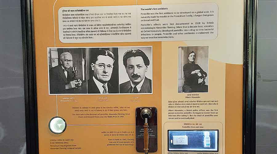 A panel on Alexander Fleming, who discovered penicillin, the world’s first antibiotic, in 1928