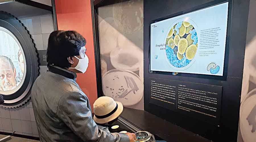 Visitors read details on original bacterial slides