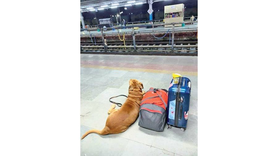 chugging out: All set to board a train at the rail station 