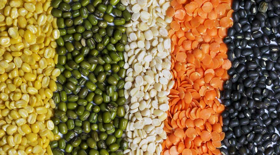 kharif crop - High prices of pulses a worry - Telegraph India