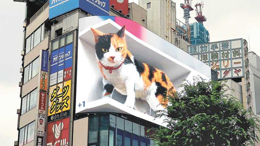 3D Led Billboards