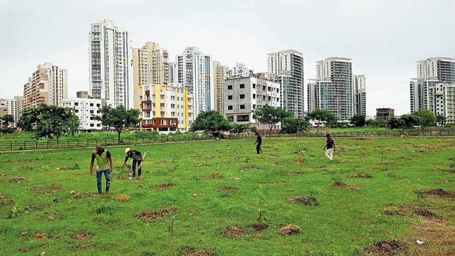 The Green Verge will be part of the carbon offset programme of CDE Asia, headquartered in neighbouring Eco Space.