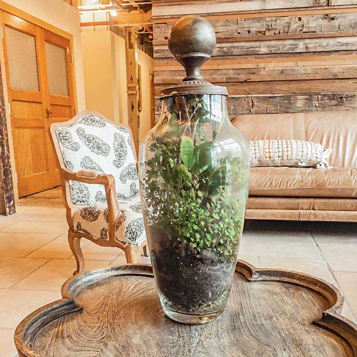 Blooms on a table at Pennsylvania, USA