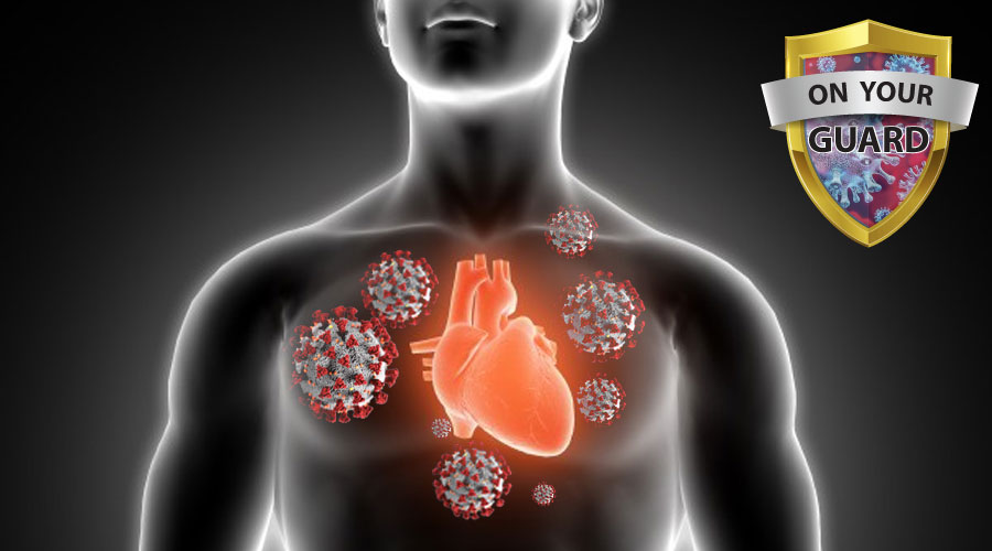 Infections That Can Affect The Heart - PELAJARAN