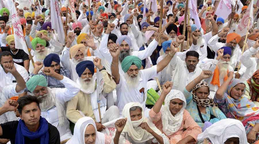 Farmers' protest: Copies of Farm laws burnt near the residences of BJP  leaders in Punjab, Haryana and Tamil Nadu - Telegraph India