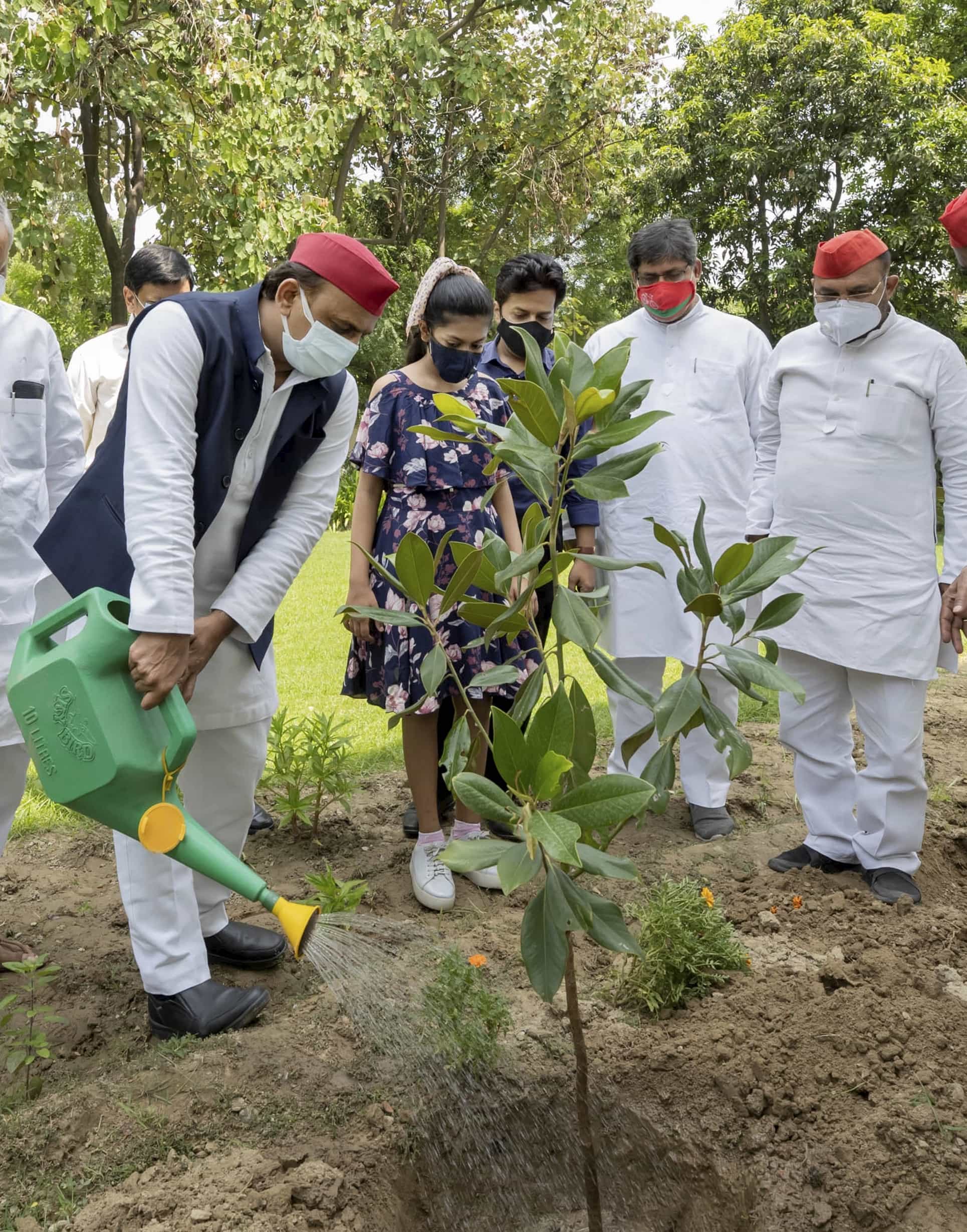 Samajwadi Party leader Akhilesh Yadav during a plantation drive at party headquarters in Lucknow on World Environment Day.