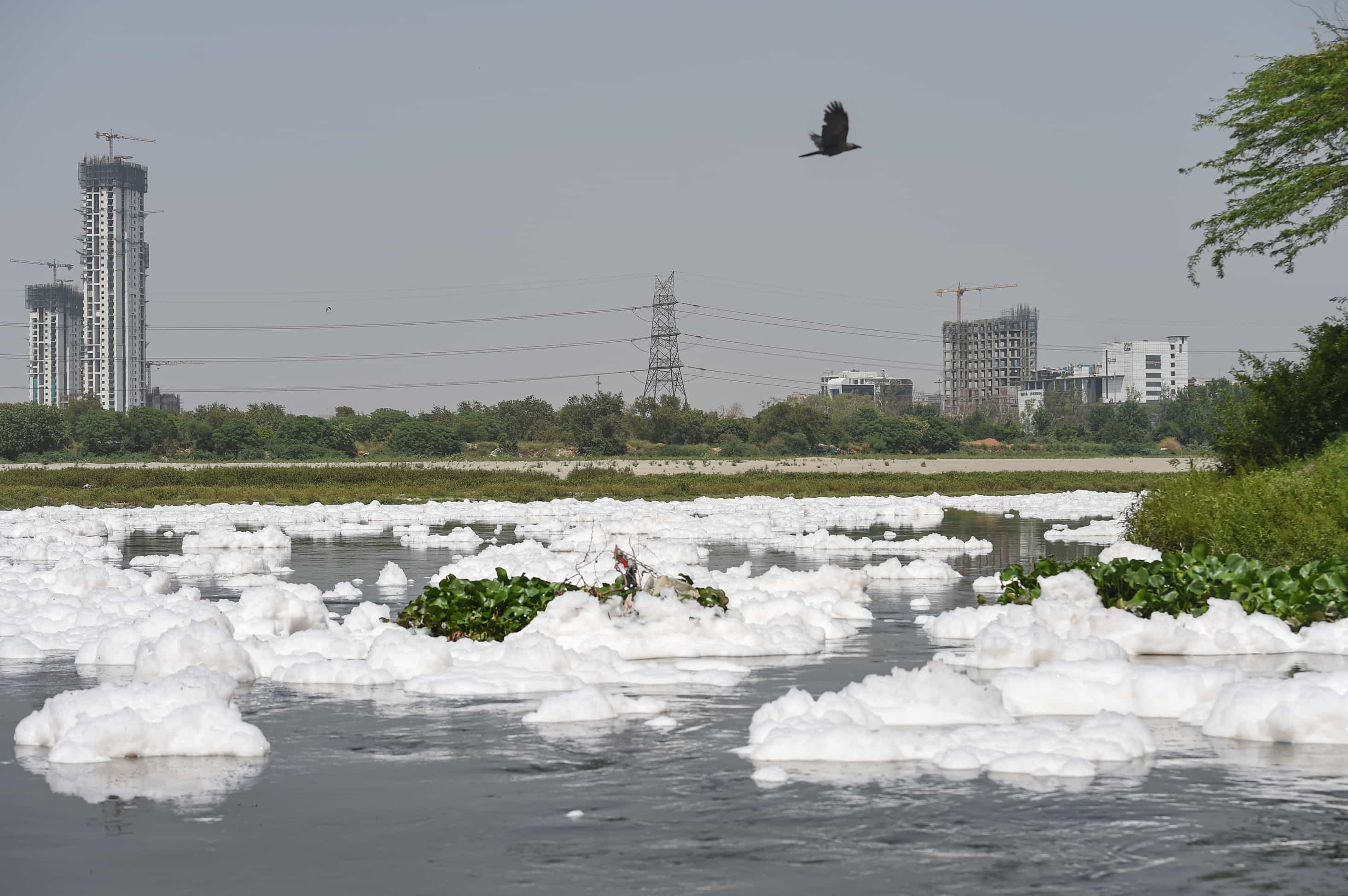 Toxic foam float on the surface of the polluted Yamuna river in New Delhi on Saturday.