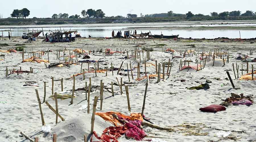 Bodies buried in the sand near the banks of the Ganga in Allahabad.