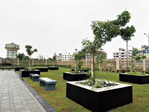 Neem trees planted in the park in recent months