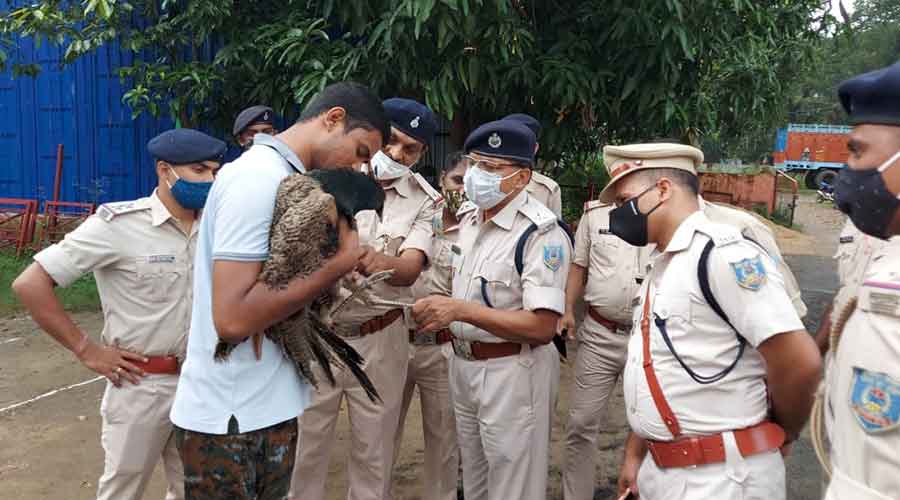 The rescued peacock with the police team in Bokaro.