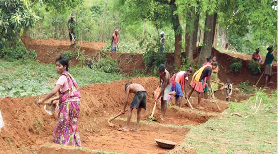 mahatma-gandhi-national-rural-employment-guarantee-act-mgnrega-a