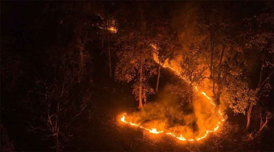 Team to help Odisha curb forest fire